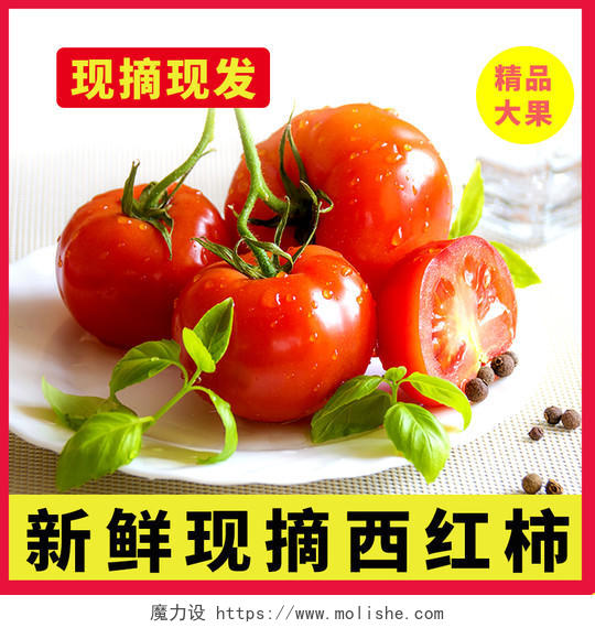 红色简约新鲜现摘红柿子西红柿番茄蔬菜生鲜主图